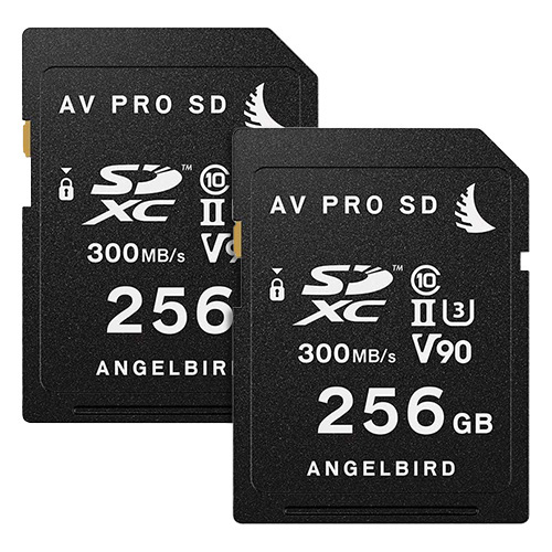 【MATCH PACK for GH5/GH5S 256GB×2】 Angelbird DC-GH5用 SDカードセット