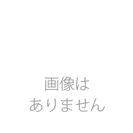 【VDB EXT】VDB ブームポールエクステンション 110cm