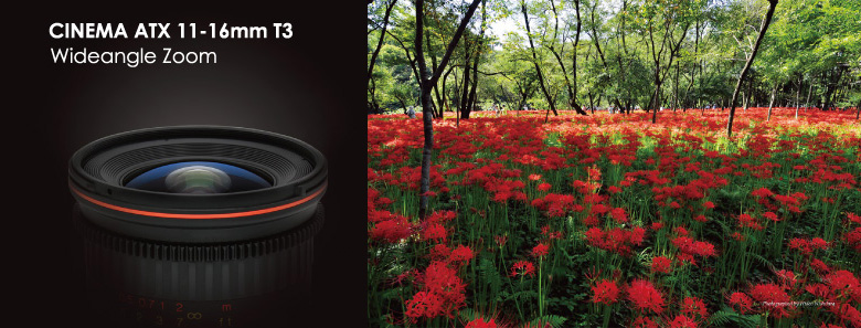 Tokina 11-16 T3 CINEMA LENS