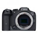 【EOS R7 ボディー】 Canon APS-Cミラーレスカメラ ミドルクラスモデル（レンズ別売、RFマウント）