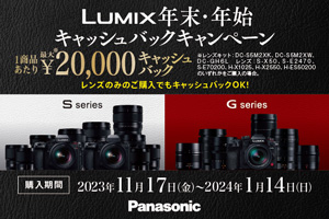 LUMIX S 35mm F1.8 通販 / ビデキンドットコム