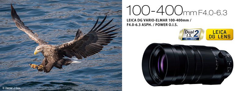 Panasonic LEICA DG VARIO-ELMAR 100-400mm/F4.0-6.3 ASPH./POWER O.I.S.