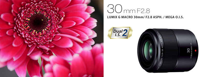 Panasonic LUMIX G MACRO 30mm/F2.8 ASPH./MEGA O.I.S.